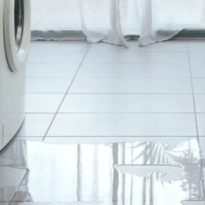 Appliance Leak Cleanup in Hartford, MI