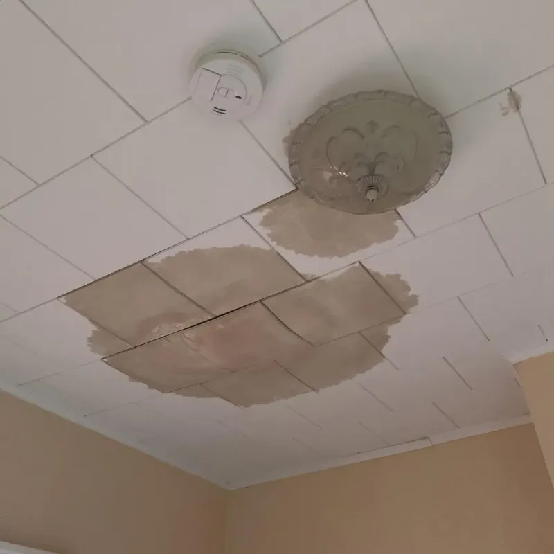 Ceiling Water Damage Repair in Hartford, MI