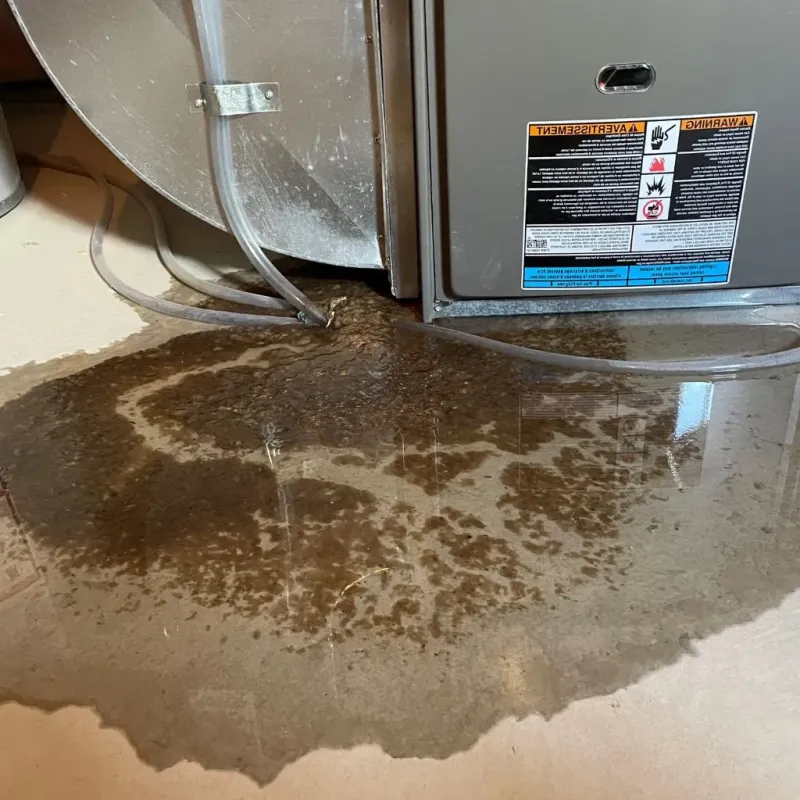 Pipe Burst and Leak Restoration in Hartford, MI