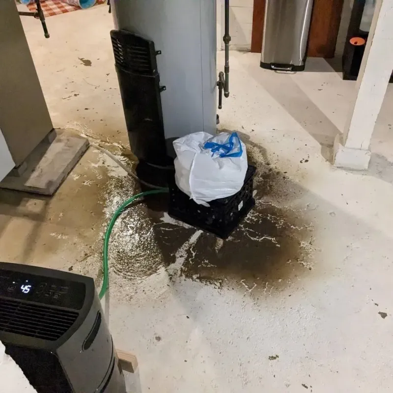 Sewage Backup Cleanup Service in Hartford, MI